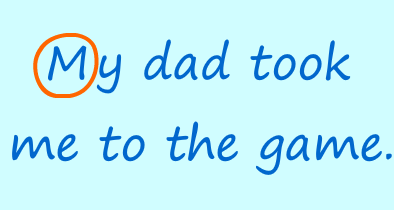 turtle diary