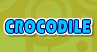 Crocodile - Animals - First Grade