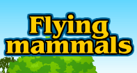 Flying family