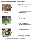 Match the Animals with Their Features - animals - Second Grade