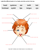 Label the Body Parts - the-human-body - Kindergarten