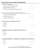 Perimeter : Choose the Correct Option - units-of-measurement - Third Grade